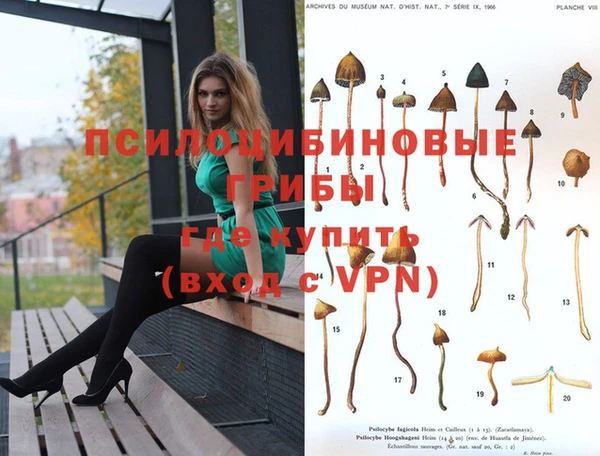 MESCALINE Пролетарск