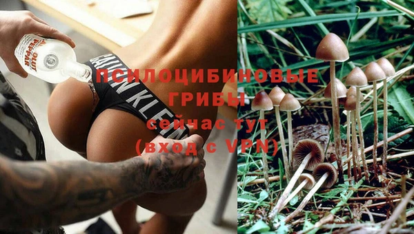ALPHA PVP Алексеевка