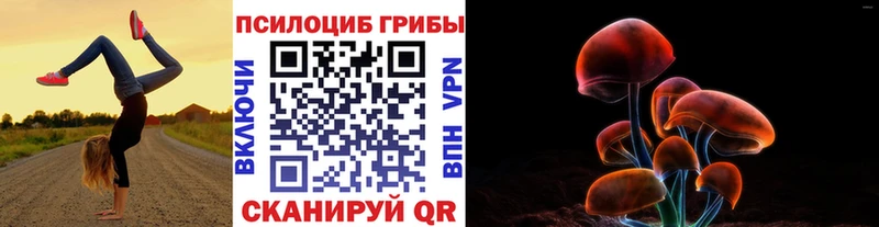 Галлюциногенные грибы Psilocybine cubensis  Данилов 