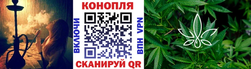 магазин  наркотиков  Данилов  Канабис планчик 